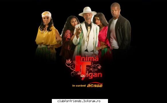 Inima de tigan - roxana - Novele