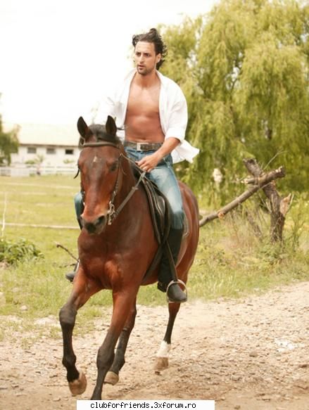 Inima de tigan - roxana - Novele