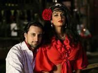 Inima de tigan - roxana - Novele